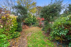 Photo 11- click for photo gallery